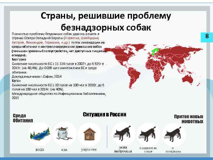 Страны, решившие проблему безнадзорных собак Полностью проблему бездомных собак удалось решить в странах Северо-Западной