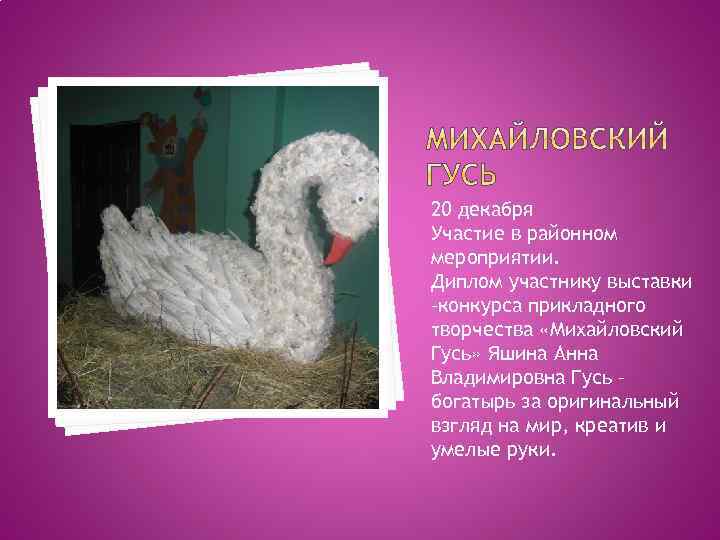 20 декабря Участие в районном мероприятии. Диплом участнику выставки –конкурса прикладного творчества «Михайловский Гусь»