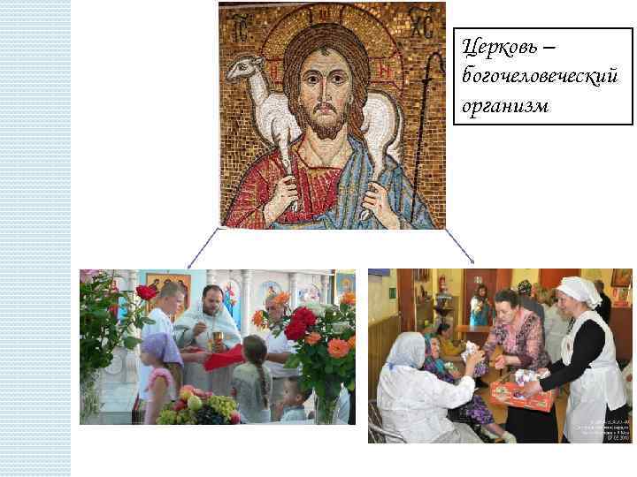 Церковь – богочеловеческий организм 