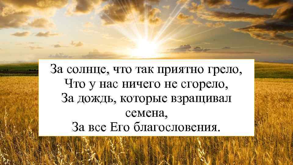 За солнце, что так приятно грело, Что у нас ничего не сгорело, За дождь,