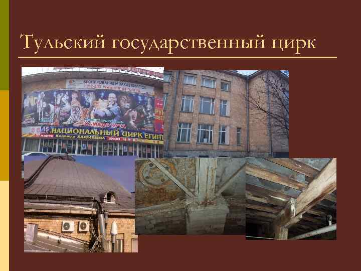 Тульский государственный цирк 