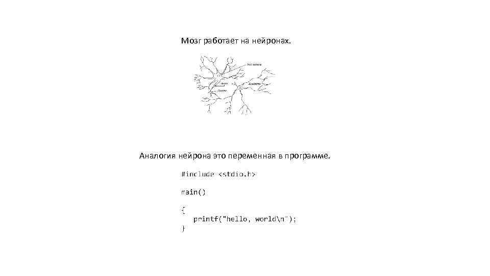 Мозг работает на нейронах. Аналогия нейрона это переменная в программе. 