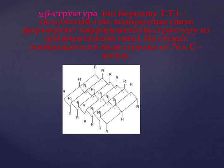 β-структура (по Березову Т. Т. ) – складчатый тип, водородные связи формируют гофрированную структуру