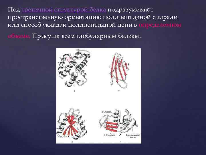 Под третичной структурой белка подразумевают пространственную ориентацию полипептидной спирали или способ укладки полипептидной цепи