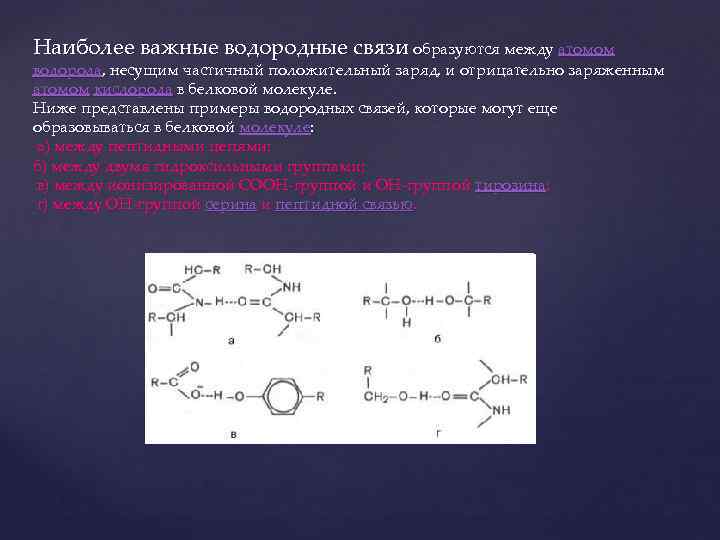 Наиболее важные водородные связи образуются между атомом водорода, несущим частичный положительный заряд, и отрицательно