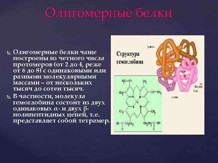 Олигомерные белки чаще построены из четного числа протомеров (от 2 до 4, реже от