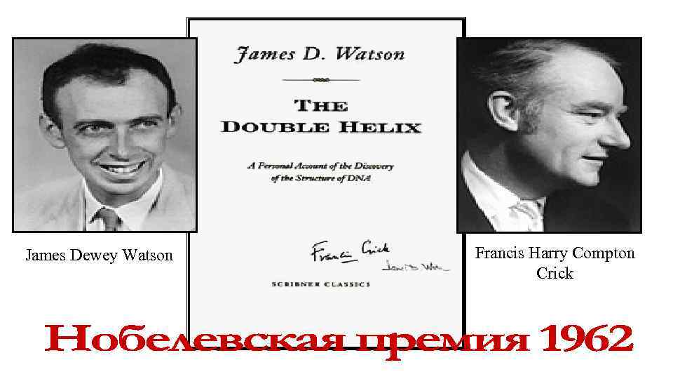 James Dewey Watson Francis Harry Compton Crick 