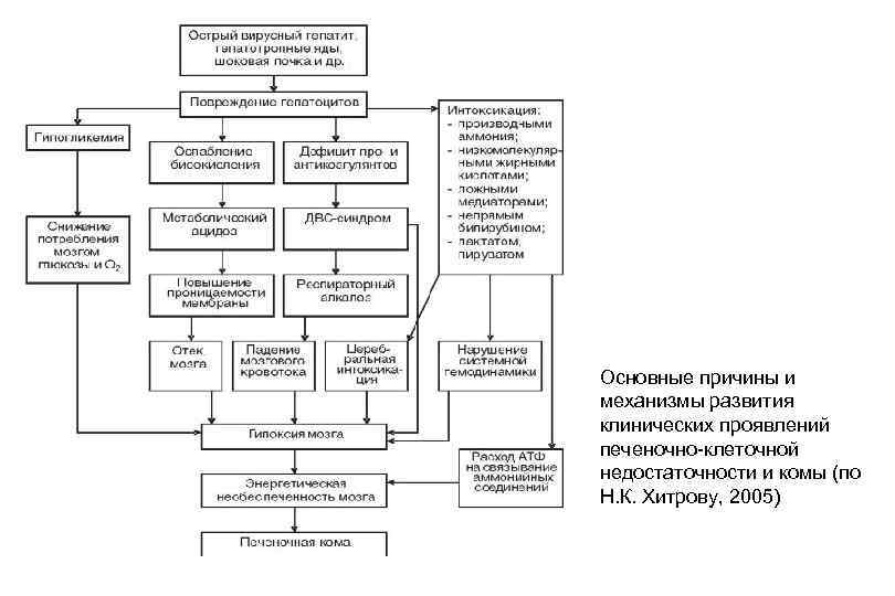 Основные причины и механизмы развития клинических проявлений печеночно клеточной недостаточности и комы (по Н.
