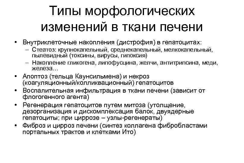 Типы морфологических изменений в ткани печени • Внутриклеточные накопления (дистрофия) в гепатоцитах: – Стеатоз: