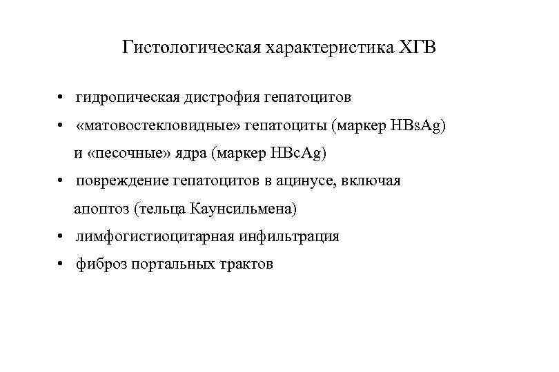 Гистологическая характеристика ХГВ • гидропическая дистрофия гепатоцитов • «матовостекловидные» гепатоциты (маркер HBs. Ag) и
