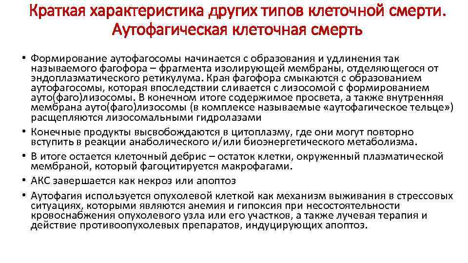 Краткая характеристика других типов клеточной смерти. Аутофагическая клеточная смерть • Формирование аутофагосомы начинается с