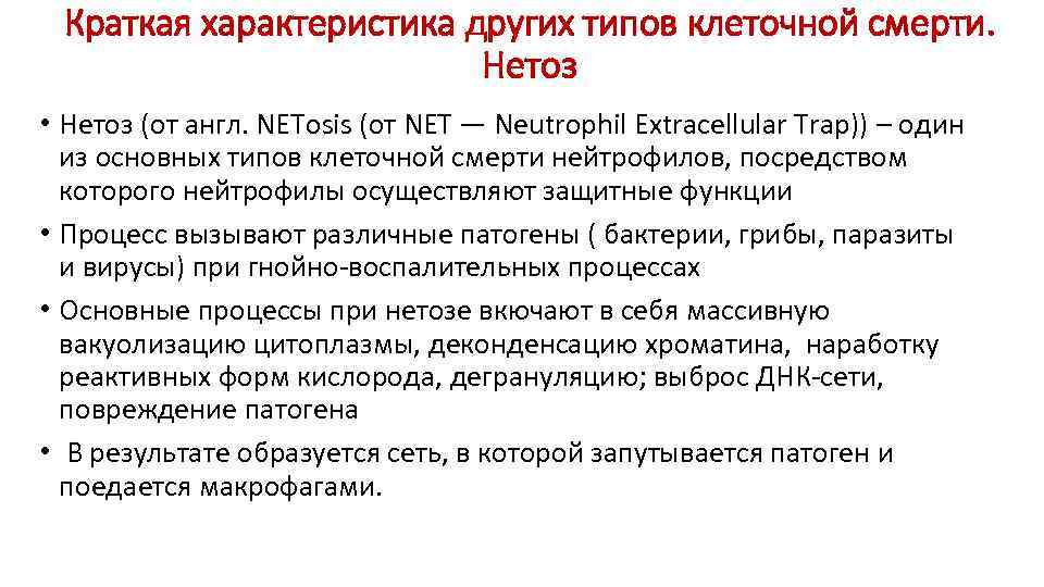 Краткая характеристика других типов клеточной смерти. Нетоз • Нетоз (от англ. NETosis (от NET