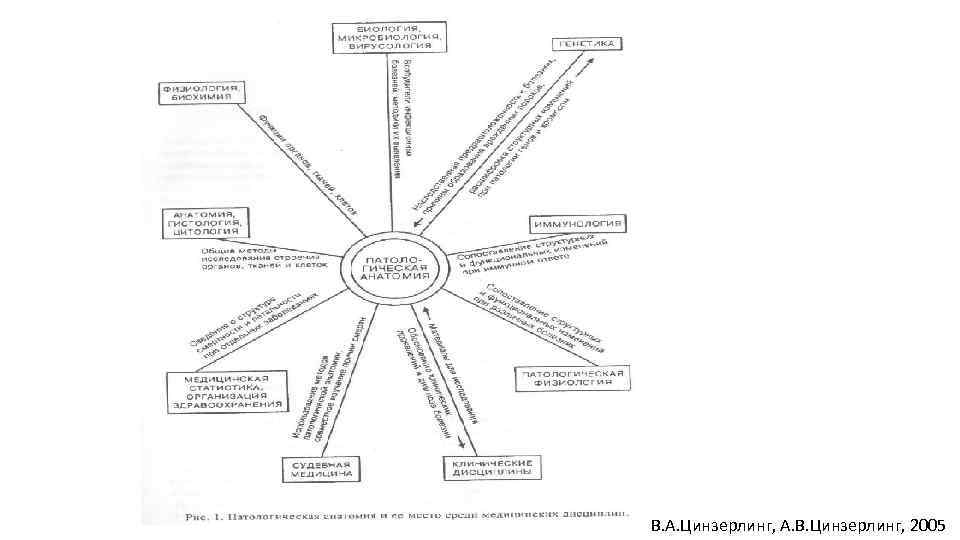 В. А. Цинзерлинг, А. В. Цинзерлинг, 2005 