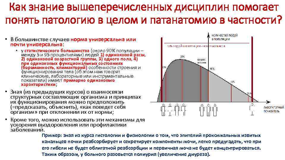Как знание вышеперечисленных дисциплин помогает понять патологию в целом и патанатомию в частности? •