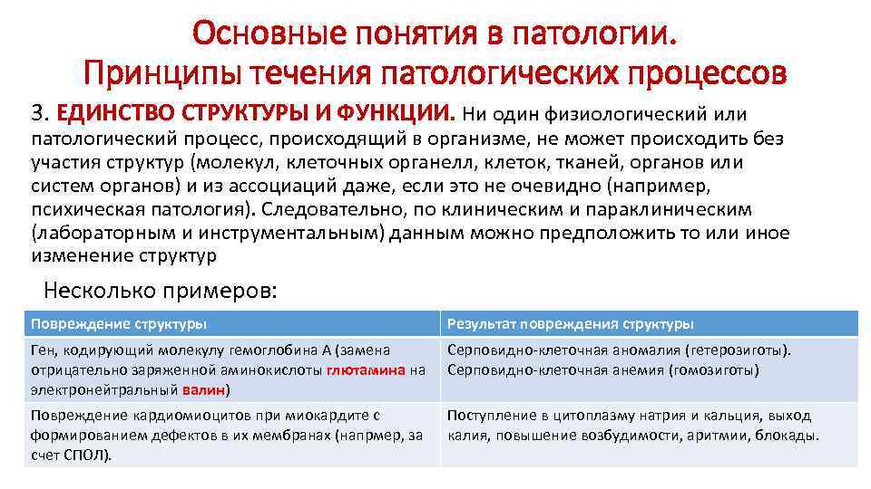 Единство структуры. Единство структуры и функции. Взаимоотношение структуры и функции их единство. Основные понятия патологии. Единство структуры и функции физиология.