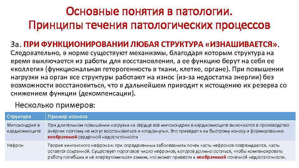 Основные понятия в патологии. Принципы течения патологических процессов 3 а. ПРИ ФУНКЦИОНИРОВАНИИ ЛЮБАЯ СТРУКТУРА