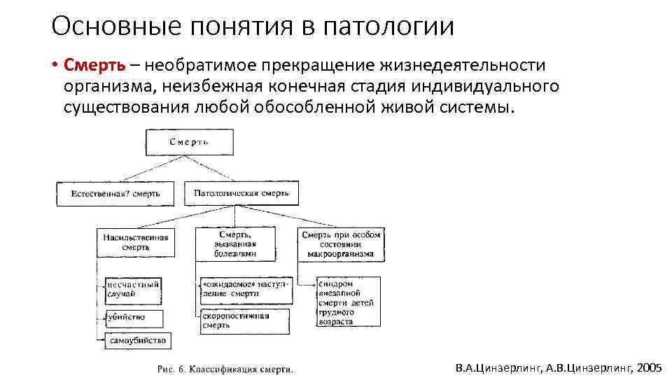 Основные патологии