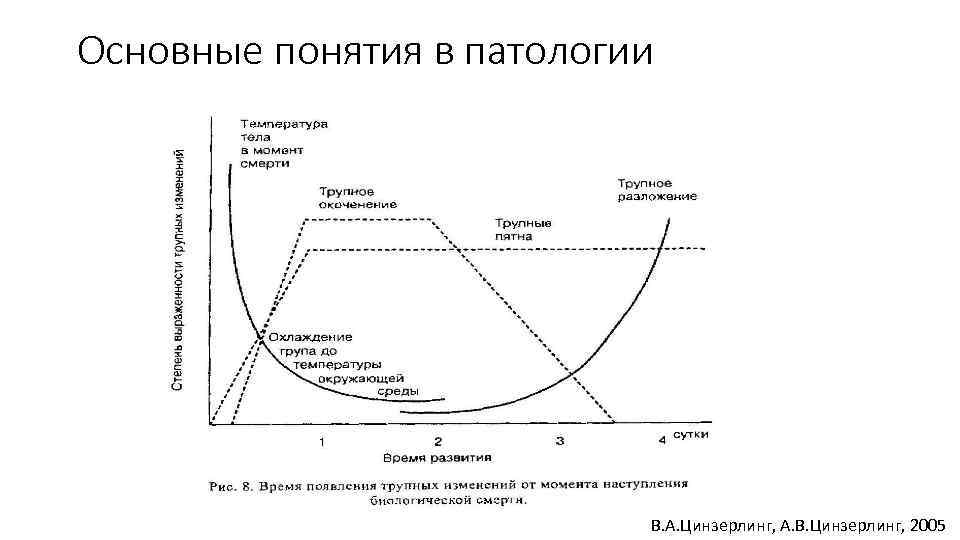 Основные понятия в патологии В. А. Цинзерлинг, А. В. Цинзерлинг, 2005 