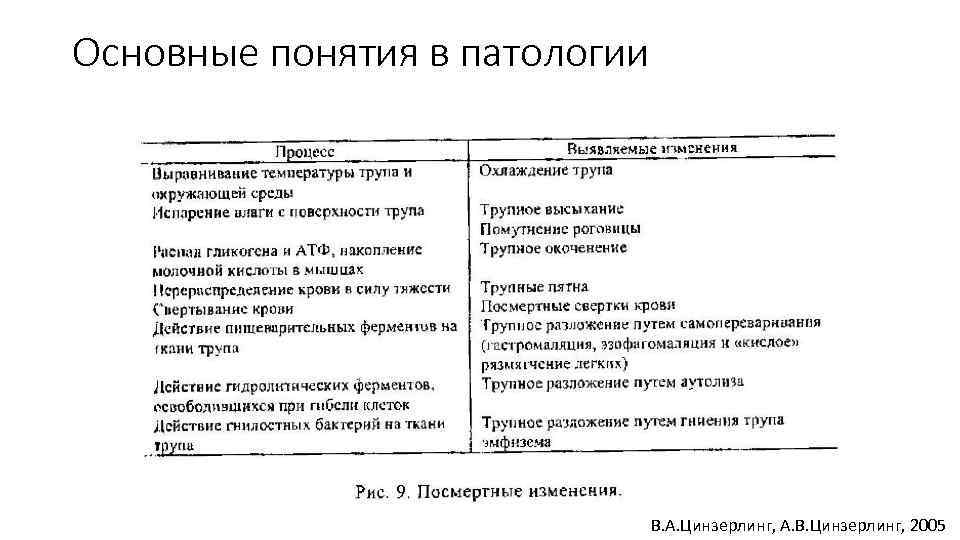 Основные понятия в патологии В. А. Цинзерлинг, А. В. Цинзерлинг, 2005 