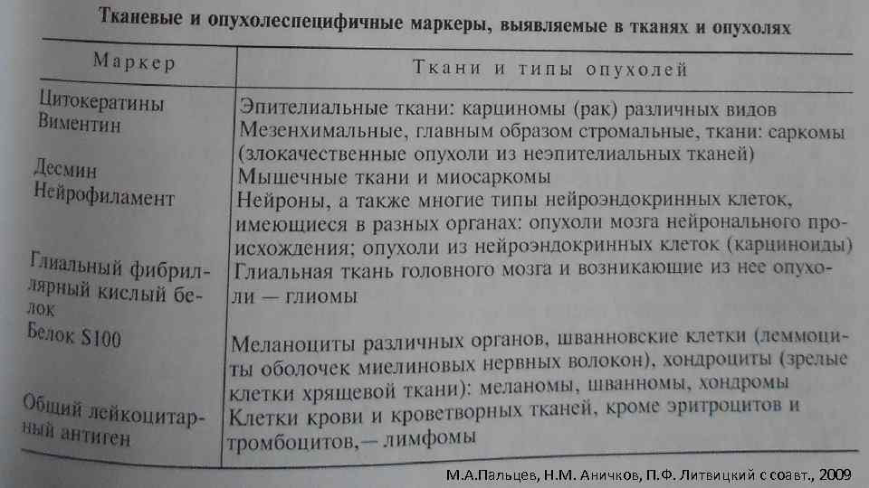 М. А. Пальцев, Н. М. Аничков, П. Ф. Литвицкий с соавт. , 2009 