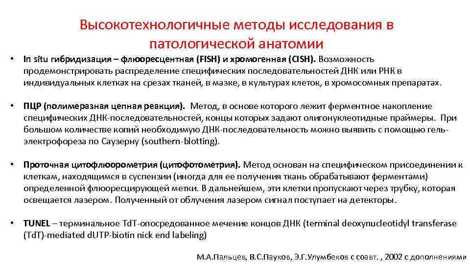 Высокотехнологичные методы исследования в патологической анатомии • In situ гибридизация – флюоресцентная (FISH) и