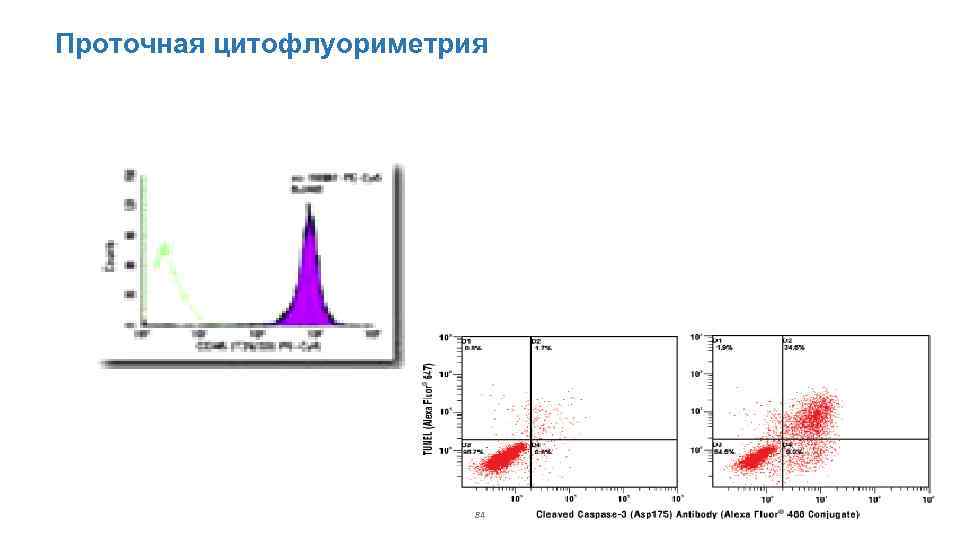 Проточная цитофлуориметрия 84 