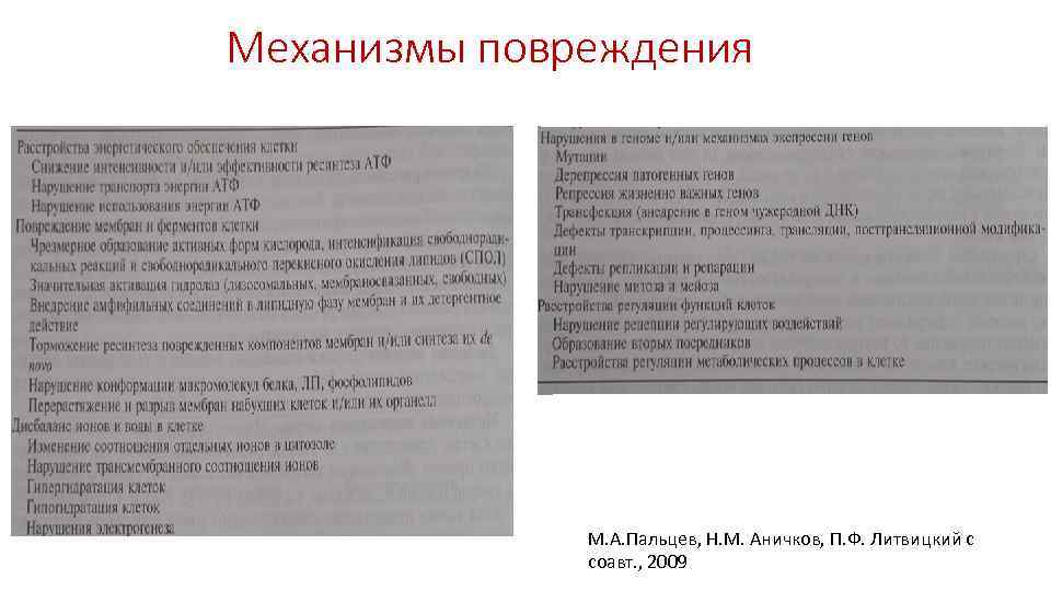 Механизмы повреждения М. А. Пальцев, Н. М. Аничков, П. Ф. Литвицкий с соавт. ,