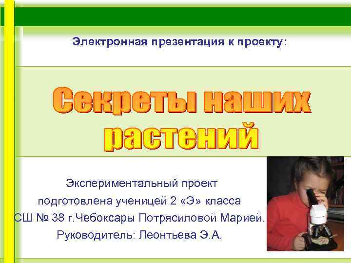 Электронная презентация к проекту: Экспериментальный проект подготовлена ученицей 2 «Э» класса СШ № 38