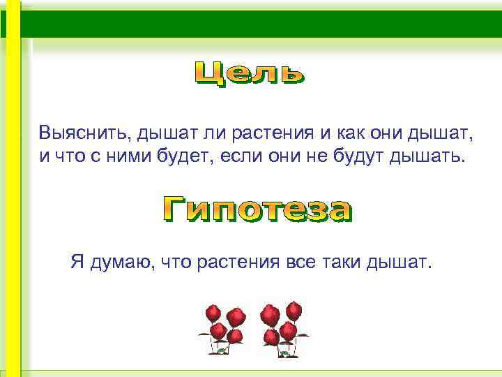 Выяснить, дышат ли растения и как они дышат, и что с ними будет, если