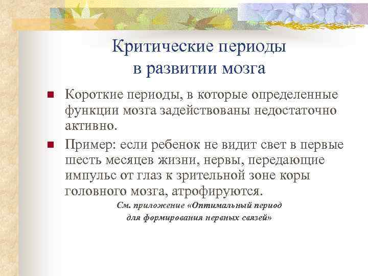 Критические периоды в развитии мозга n n Короткие периоды, в которые определенные функции мозга