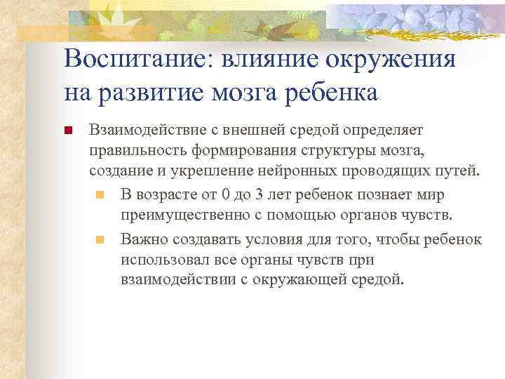 Воспитание: влияние окружения на развитие мозга ребенка n Взаимодействие с внешней средой определяет правильность