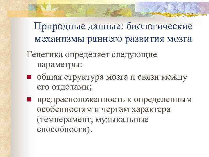 Природные данные: биологические механизмы раннего развития мозга Генетика определяет следующие параметры: n общая структура