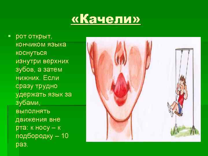  «Качели» § рот открыт, кончиком языка коснуться изнутри верхних зубов, а затем нижних.