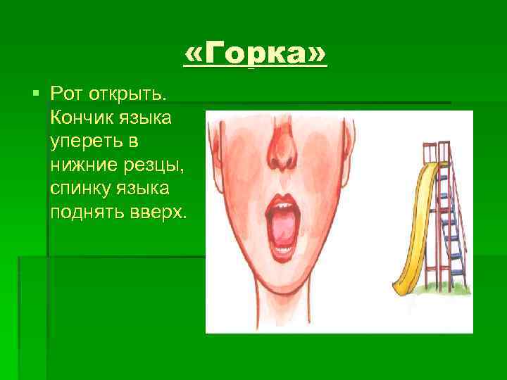  «Горка» § Рот открыть. Кончик языка упереть в нижние резцы, спинку языка поднять