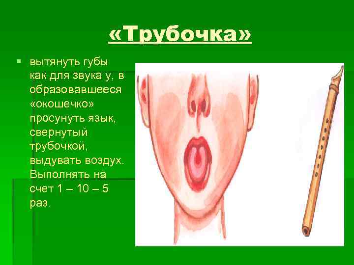  «Трубочка» § вытянуть губы как для звука у, в образовавшееся «окошечко» просунуть язык,