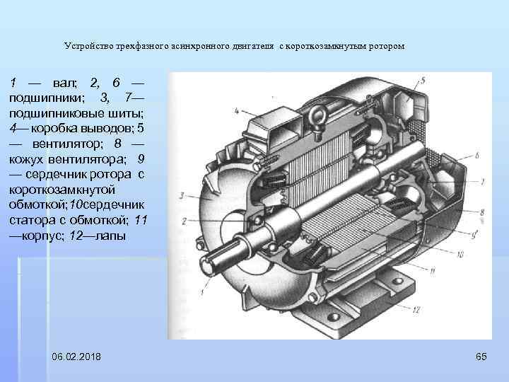 Устройство трехфазного асинхронного двигателя с короткозамкнутым ротором 1 — вал; 2, 6 — подшипники;
