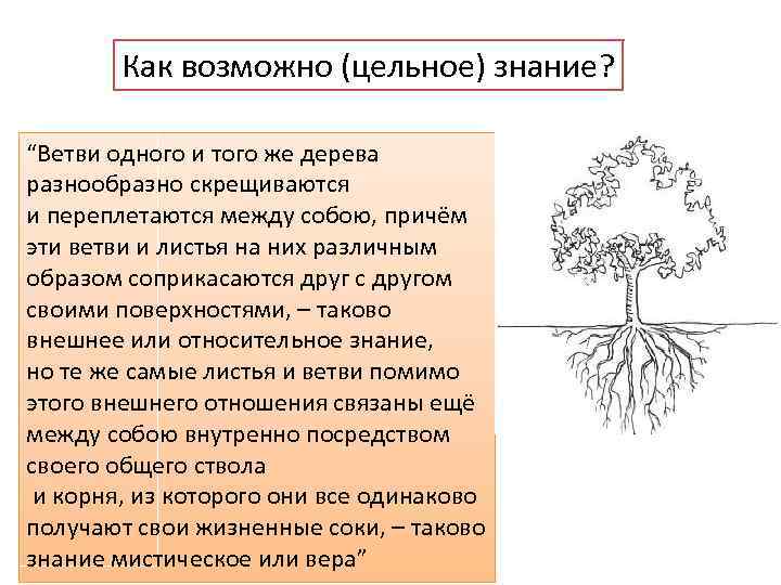 Как возможно (цельное) знание? “Ветви одного и того же дерева разнообразно скрещиваются и переплетаются