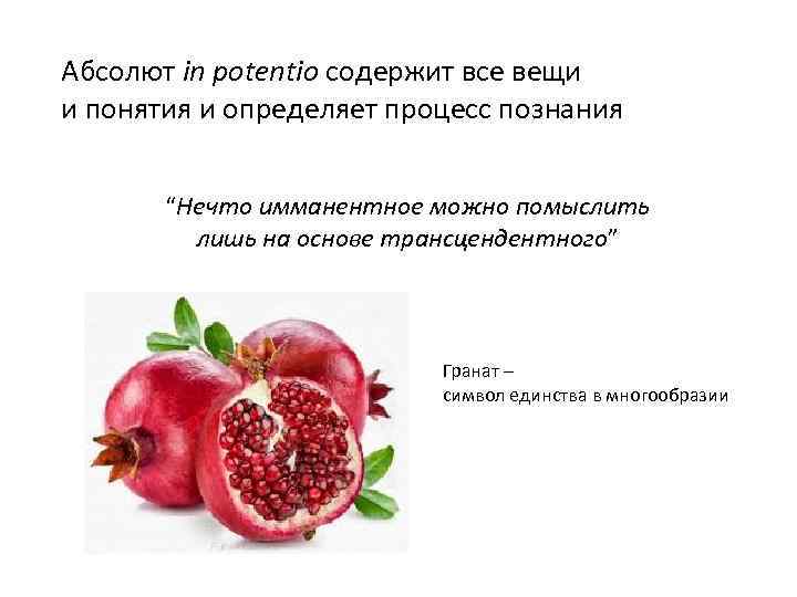 Абсолют in potentio содержит все вещи и понятия и определяет процесс познания “Нечто имманентное