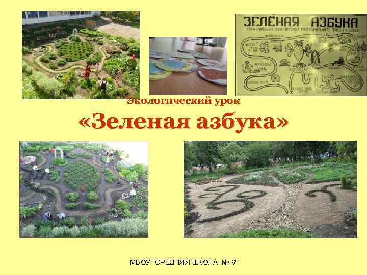 Экологический урок «Зеленая азбука» МБОУ "СРЕДНЯЯ ШКОЛА № 6" 