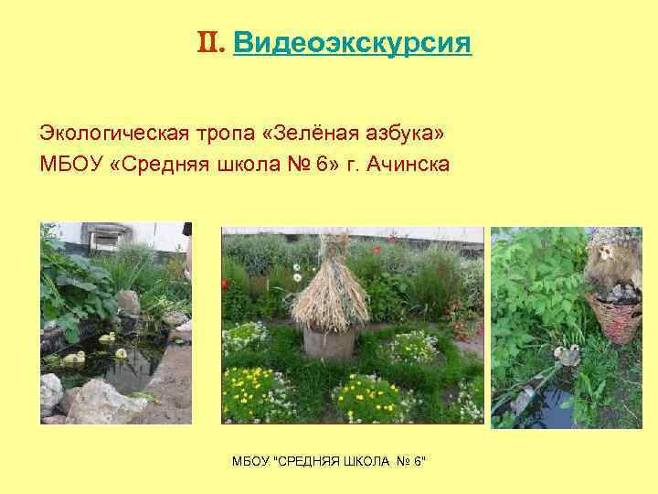 II. Видеоэкскурсия Экологическая тропа «Зелёная азбука» МБОУ «Средняя школа № 6» г. Ачинска МБОУ