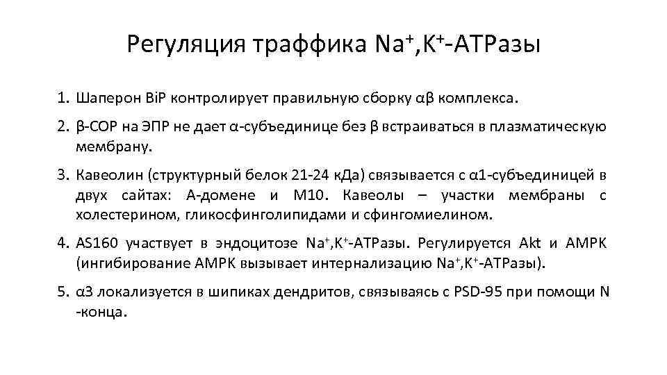 Регуляция траффика Na+, K+-ATPазы 1. Шаперон Bi. P контролирует правильную сборку αβ комплекса. 2.