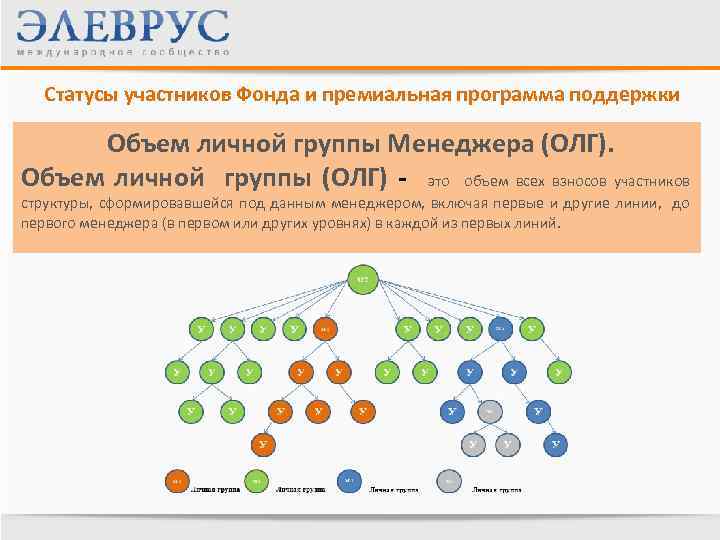 Статусы участников Фонда и премиальная программа поддержки Объем личной группы Менеджера (ОЛГ). Объем личной