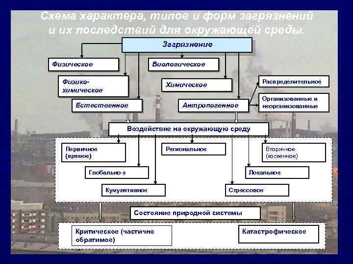 Схема характера, типов и форм загрязнений и их последствий для окружающей среды. Загрязнение Физическое