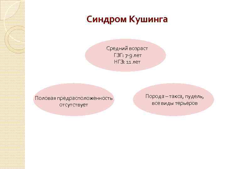 Синдром Кушинга Средний возраст ГЗГ: 7 -9 лет НГЗ: 11 лет Половая предрасположенность отсутствует