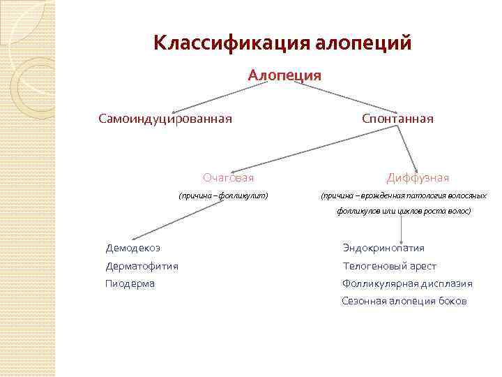 Классификация алопеций Алопеция Самоиндуцированная Очаговая (причина – фолликулит) Спонтанная Диффузная (причина – врожденная патология