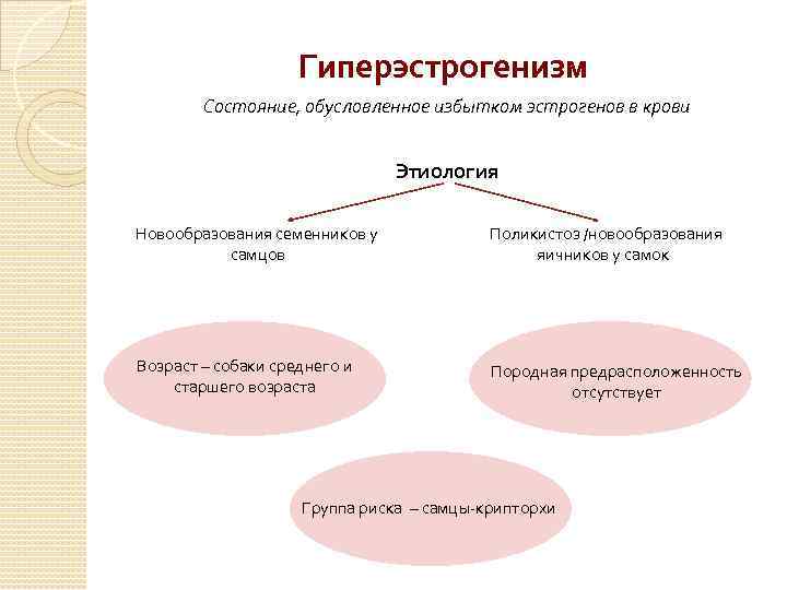 Гиперэстрогенизм Состояние, обусловленное избытком эстрогенов в крови Этиология Новообразования семенников у самцов Поликистоз /новообразования