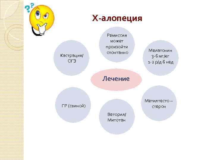 Х-алопеция Кастрация/ ОГЭ Ремиссия может произойти спонтанно Мелатонин 3 -6 мг/кг 1 -2 р/д