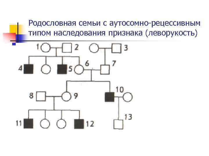 Генеалогический метод схема