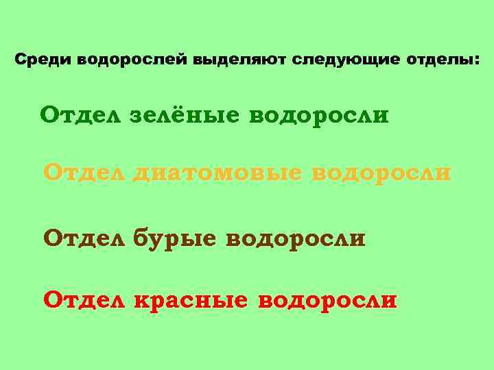 Среди водорослей выделяют следующие отделы: Отдел зелёные водоросли Отдел диатомовые водоросли Отдел бурые водоросли