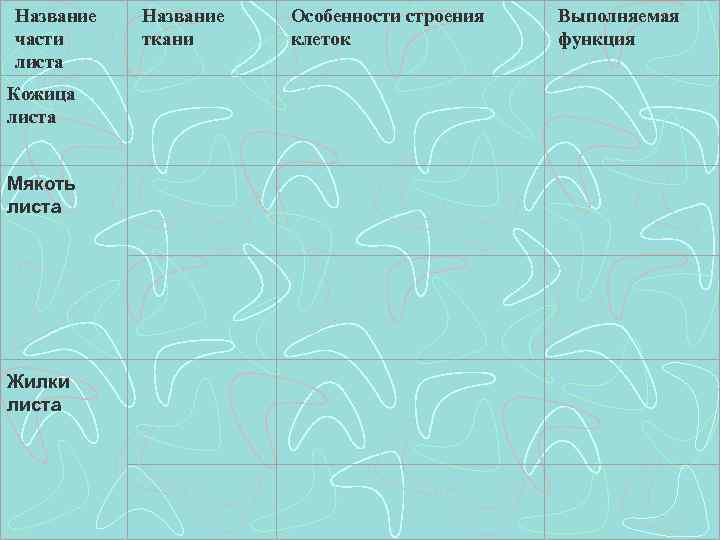 Название части листа Кожица листа Мякоть листа Жилки листа Название ткани Особенности строения клеток
